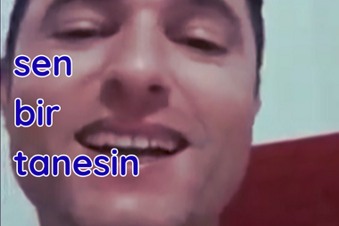 sen bitanesin